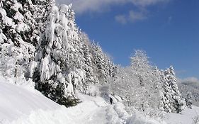 Ferienwohnung am Eisweiher