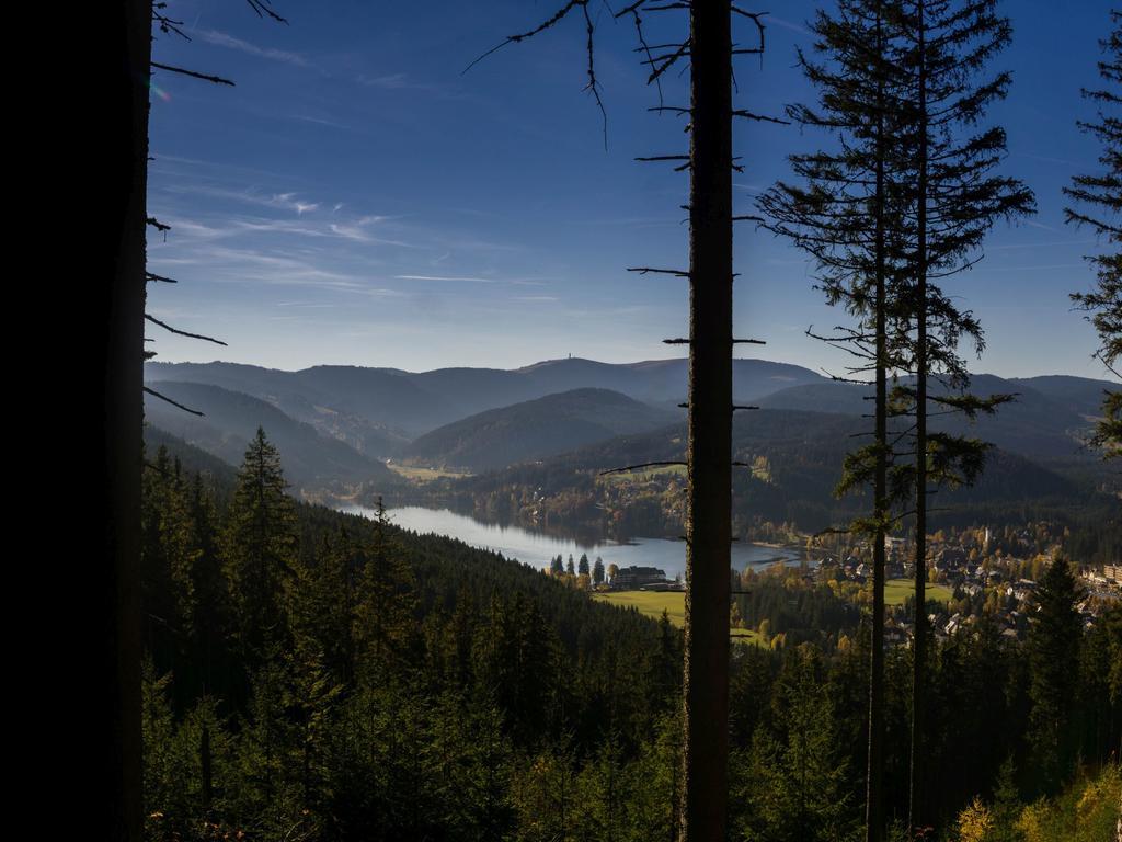 Ferienwohnung am Eisweiher Titisee-Neustadt Exterior foto